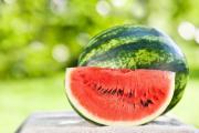 How to choose a ripe watermelon: useful tips with pictures and videos