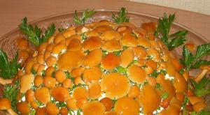 Delicious salad “Mushroom Glade” - a recipe with a twist How to bake a cheese glade recipe