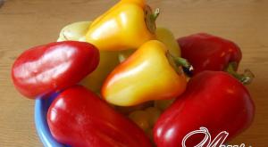 Pickled bell peppers for the winter: delicious recipes