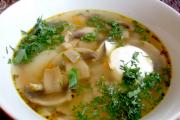 Fresh champignon soup - the best recipes