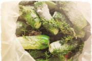 Lightly salted cucumbers: delicious recipes