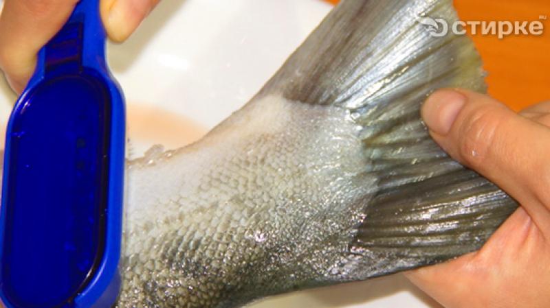 How to remove scales from fish quickly