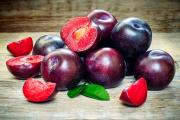 Plum pickled for the winter - the best harvesting recipes