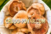 Milk mushrooms - cooking recipes