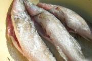 Cooking salted fish in brine at home How to salt pike perch at home