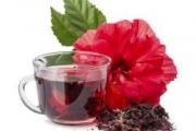 Hibiscus tea contraindications