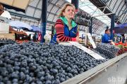 Gomel retirees make a living by selling berries